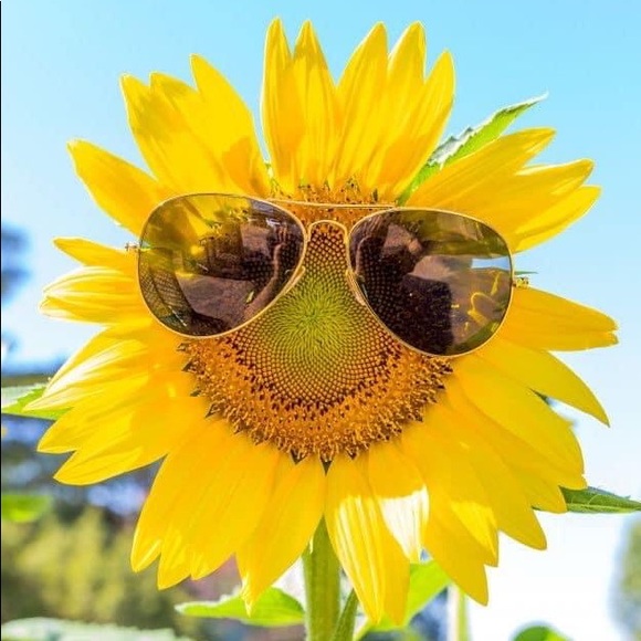 Meet your Posher, Denise - Picture 1 of 1